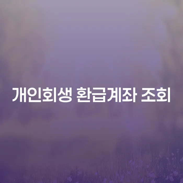 개인회생 환급계좌 조회는 어떻게 하나요?